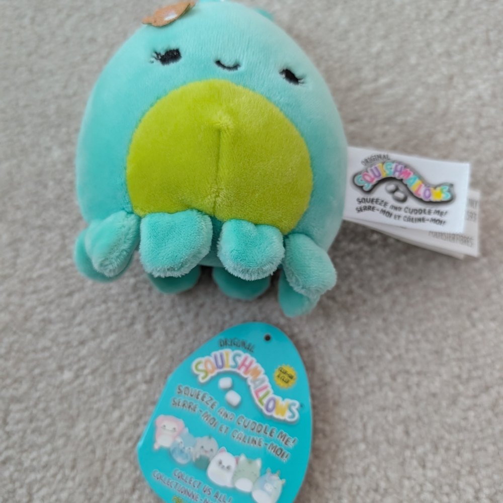 Squishmallows Teal and Lime Plush